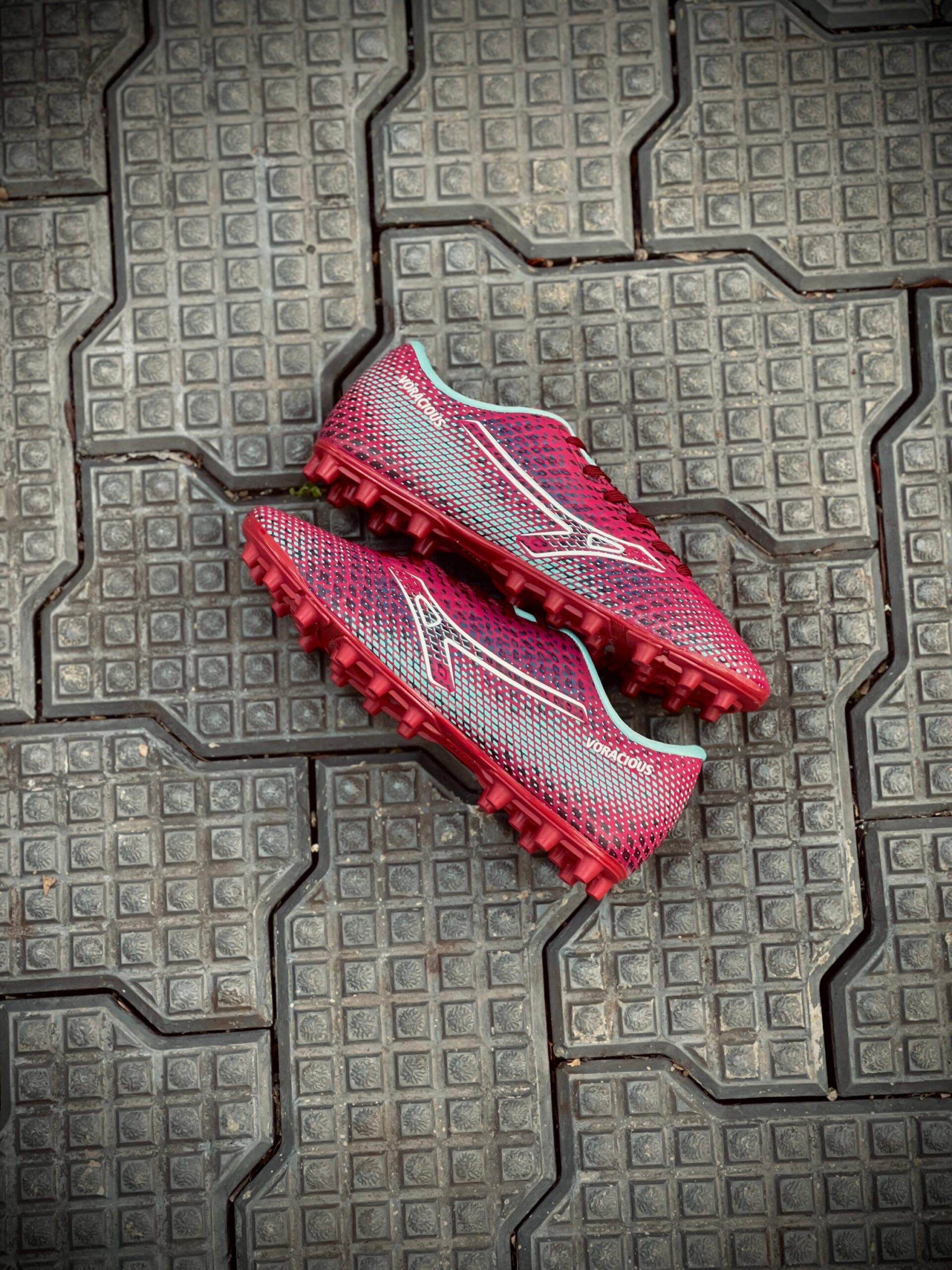 ANZA VORACIOUS MAROON